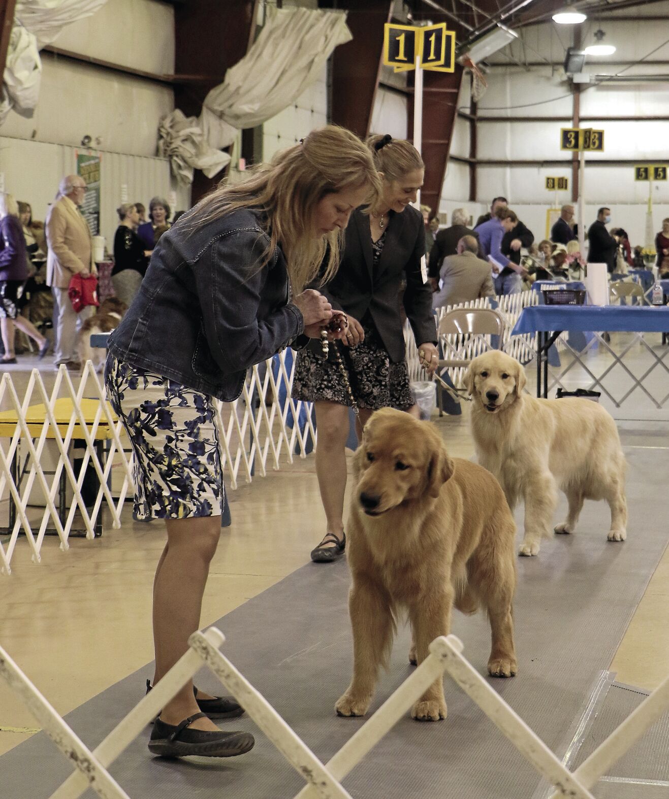 PHOTOS: 2022 AKC Dog Show